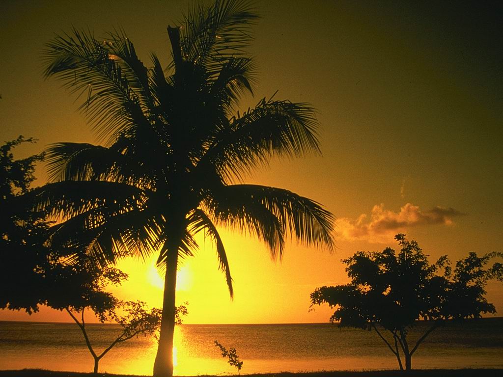 priroda-wallpapers